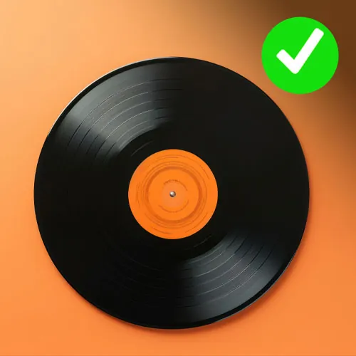 Disco de vinil em boas condições de conservação